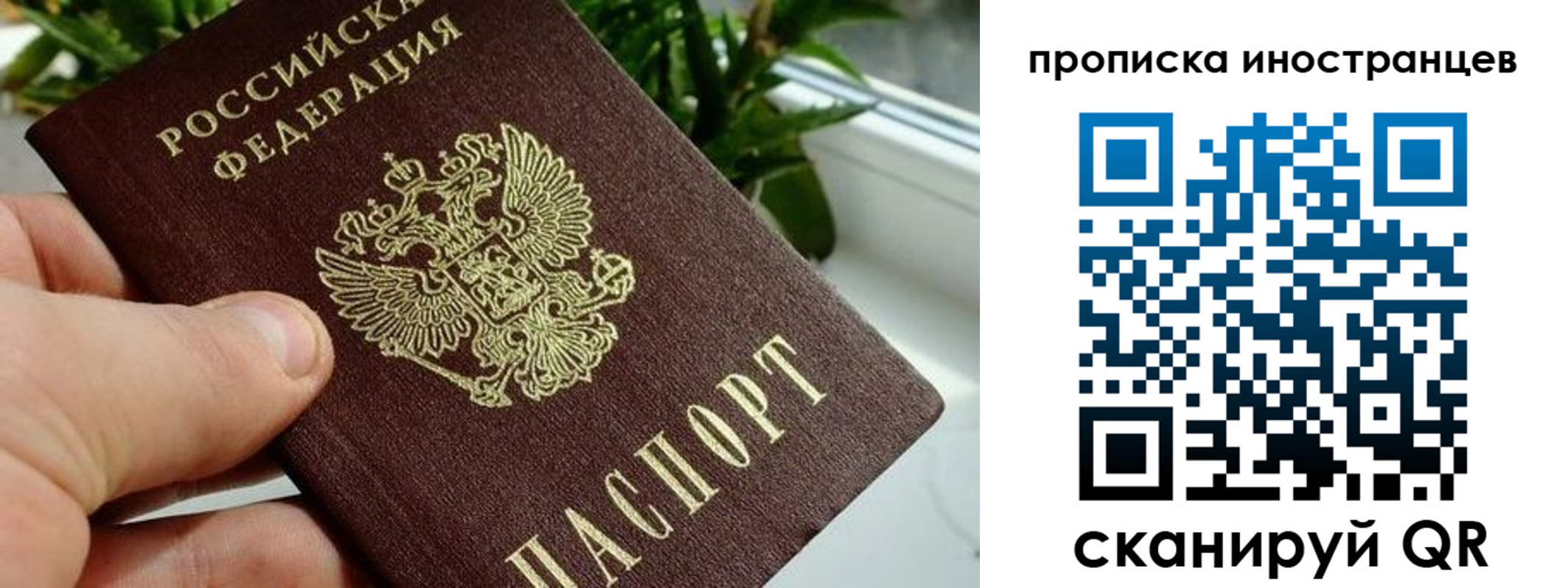 временная регистрация в Наволоках